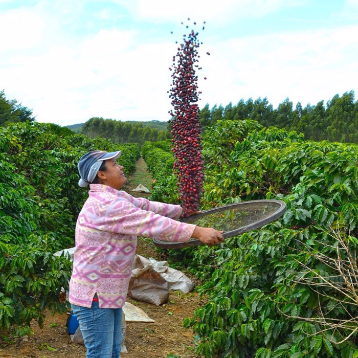 Produtor de Café Especial