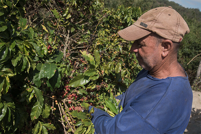 Fazenda Baobá