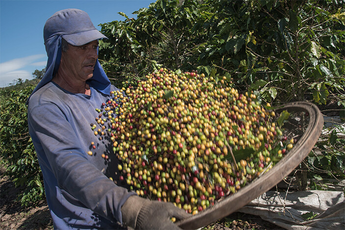 Fazenda Baobá