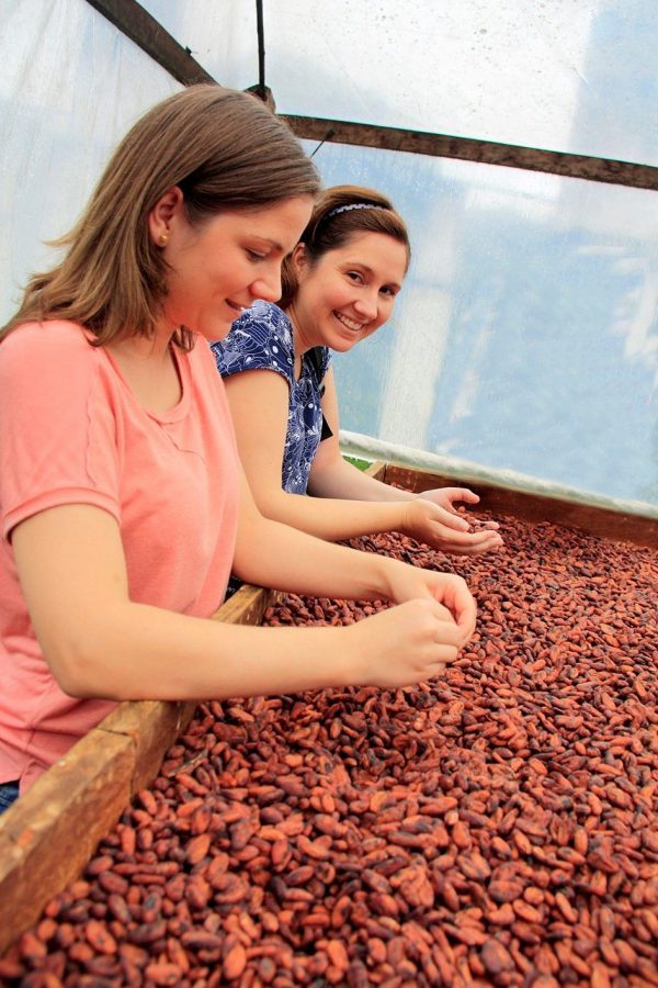 Cuori di Cacao